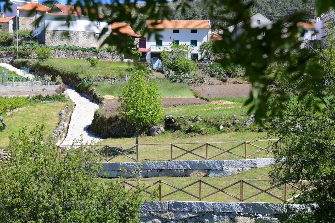 Villa Casa Dos Alcaides à Sabugueiro  Extérieur photo